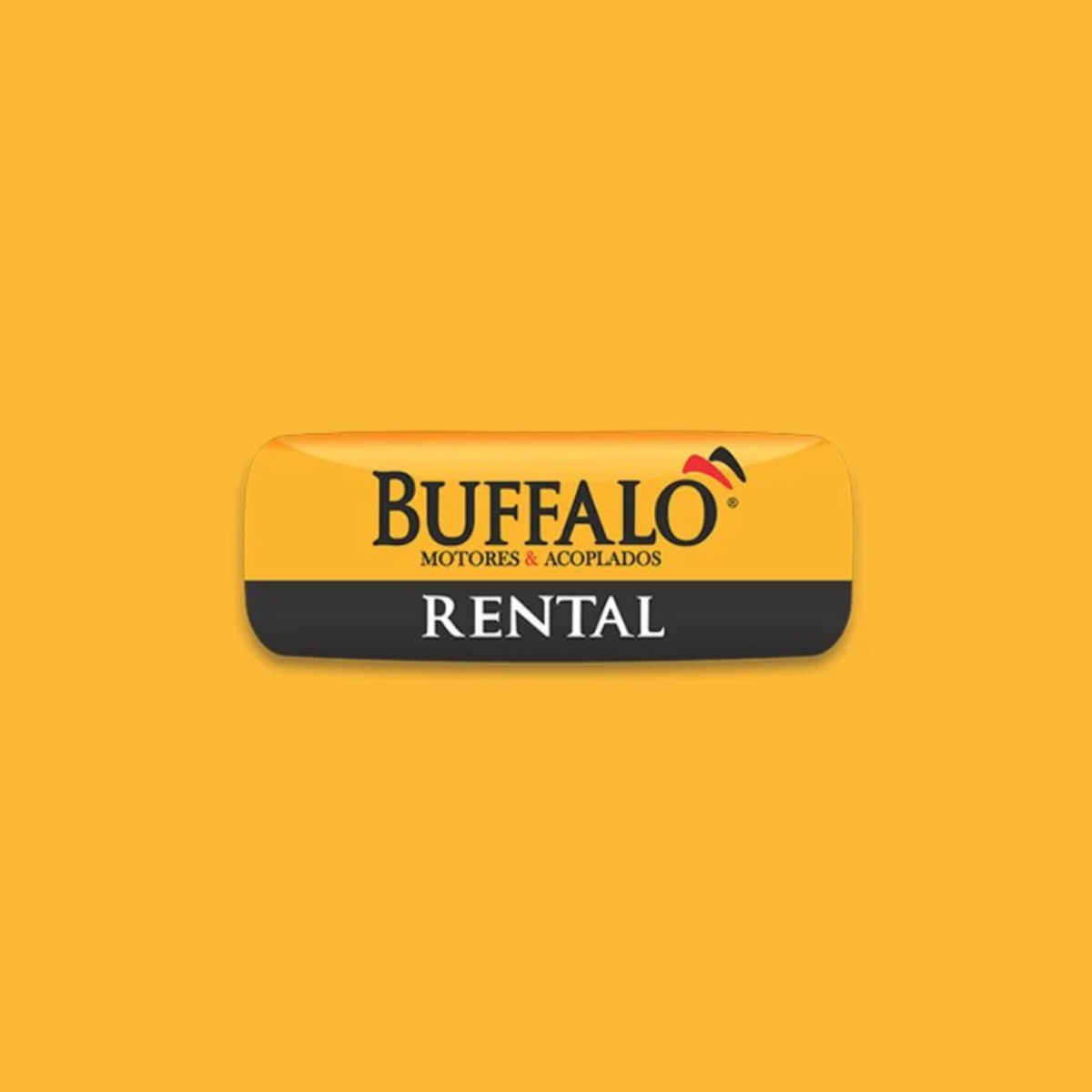 Buffalo